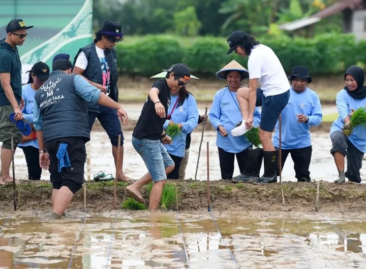 Grup Band Slank saat melakukan penananaman padi di Kutai Kartanegara sebelum konser Pesta Rakyat Kaltim di Samarinda (Sumber : nusantaraterkini.id)
