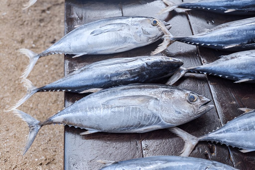 Jenis Ikan dengan Kandungan Merkuri Tinggi (Tangkapan Layar)