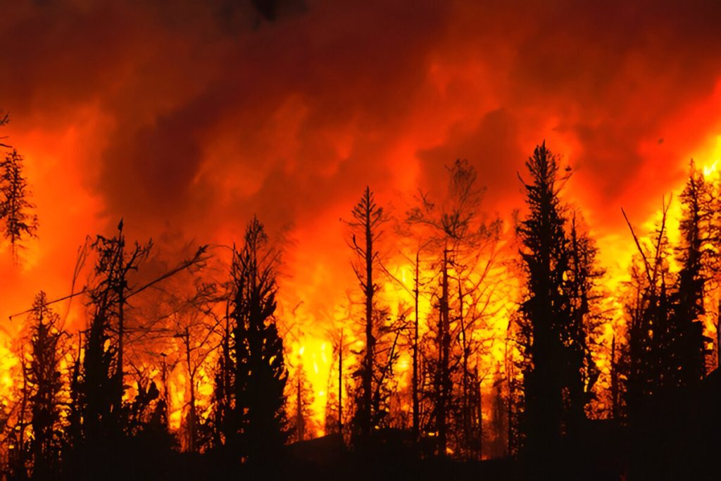 Kebakaran masih terus melanda Los Angeles (Foto : shutterstock.com)