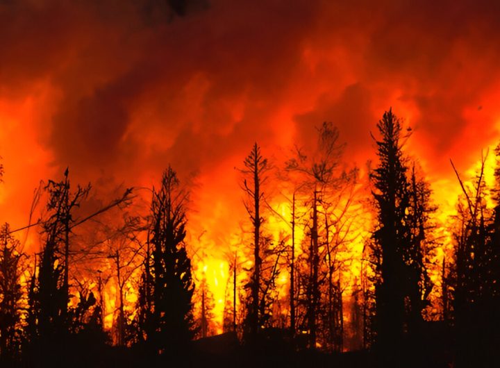 Kebakaran masih terus melanda Los Angeles (Foto : shutterstock.com)