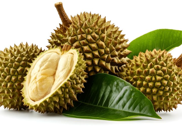 Gambar buah durian close-up, dengan durian yang terbelah memperlihatkan daging buahnya yang lembut, dan daun berwarna hijau, terisolasi pada latar belakang putih. (shutterstock.com)