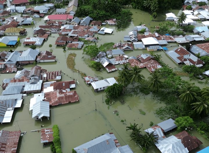 Pemandangan udara kawasan banjir di desa Tualango, Gorontalo, Indonesia (shutterstock.com)