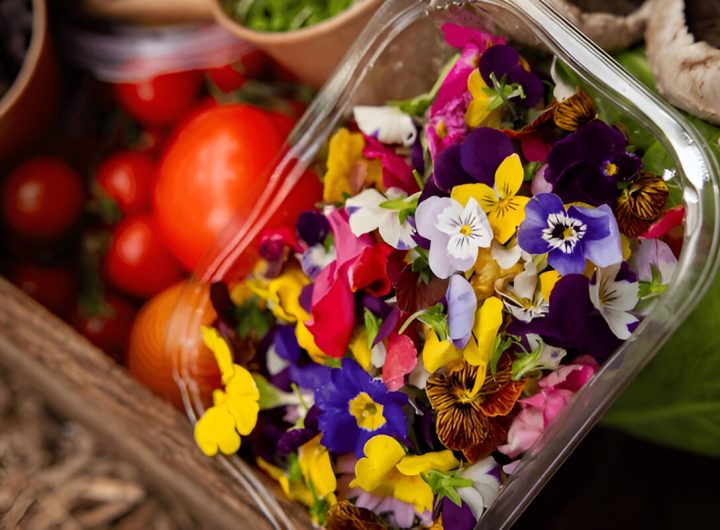 12 Jenis Bunga Edible (Foto : shutterstock.com)