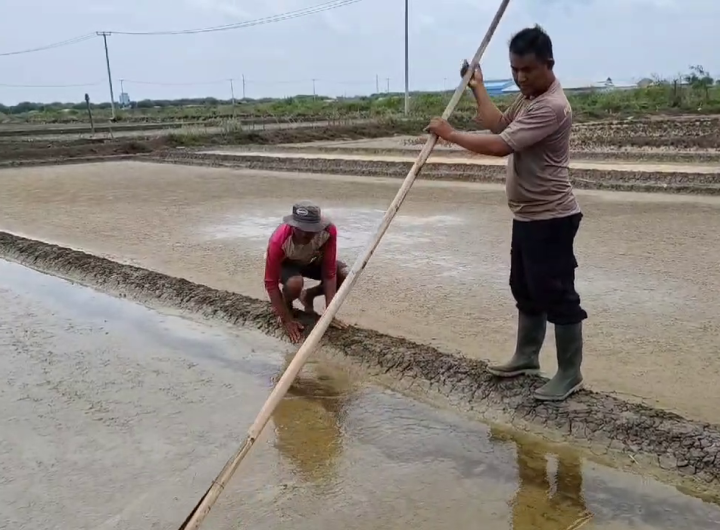 Sosok Bripka Ridwan Polisi Sekaligus Jadi Petani Garam Kelola 10 Hektare Lahan (Foto : Darfan)