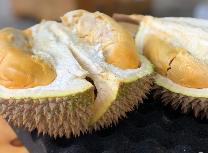 Ilustrasi Biji Durian Credit: pexels.com/JimTeo