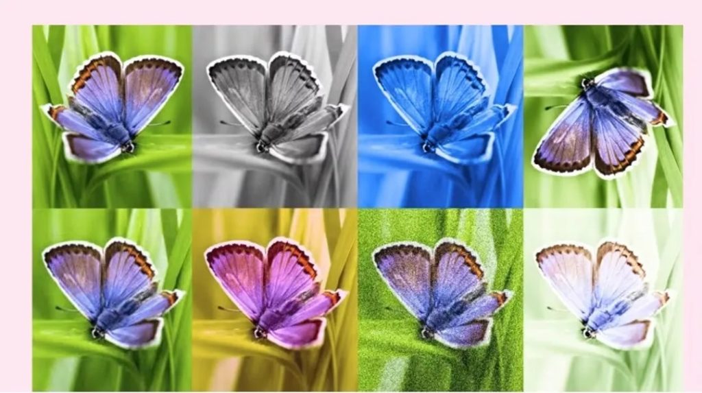 Google Luncurkan SynthID, Watermark untuk Gambar yang Dibuat AI (Deepmind.com)