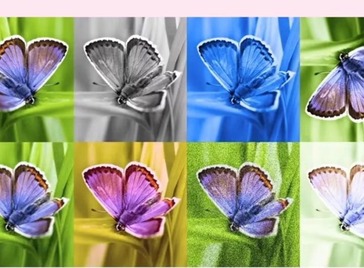 Google Luncurkan SynthID, Watermark untuk Gambar yang Dibuat AI (Deepmind.com)