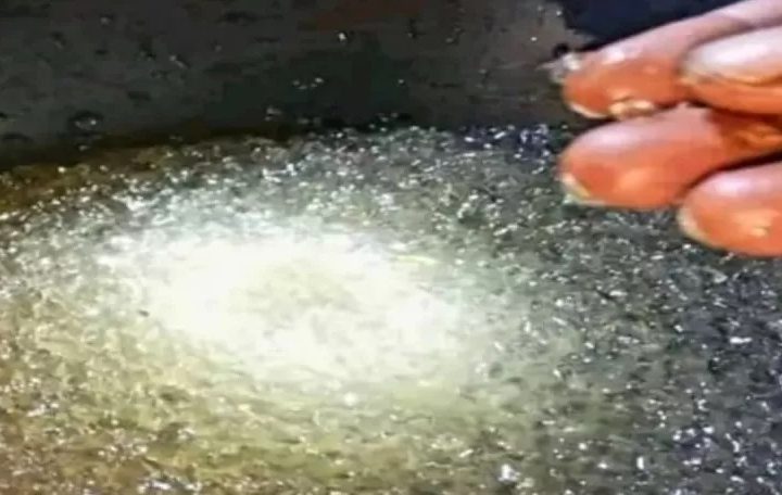 Ilustrasi hujan jelly (Tangkapan Layar)