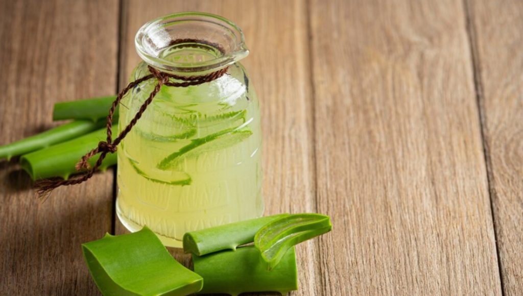 Lidah Buaya (Tangkapan Layar)