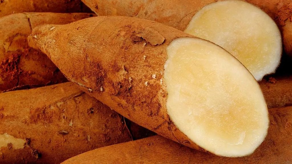 Ubi Yakon (Tangkapan Layar)