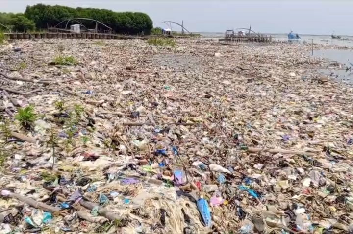 Volume sampah di pesisir pantai Kota Cirebon. semakin hari semakin menumpuk