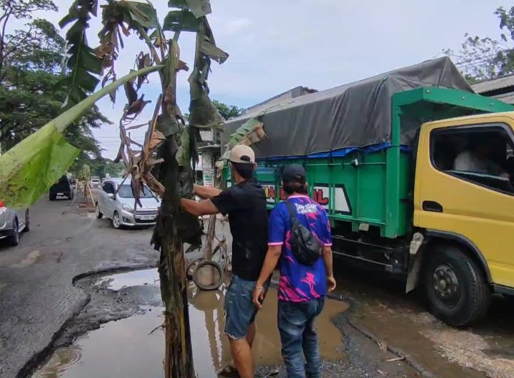 Kesal karena jalan tak kunjung diperbaiki, warga Desa Kanci, Kabupaten Cirebon, Jawa Barat, menggelar aksi protes pada Minggu pagi dengan menanam pohon pisang di lubang-lubang jalan yang rusak.
