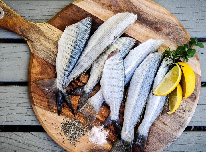 Ilustrasi ikan segar. (Unsplash.com/Jeremy Stewart)