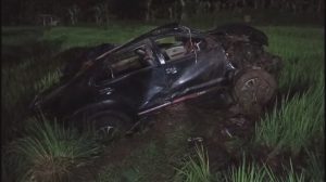 Sebuah minibus yang ditumpangi empat orang terjun ke sawah di Jalan Raya Lingkar Timur, Kabupaten Kuningan (Foto: Darfan)
