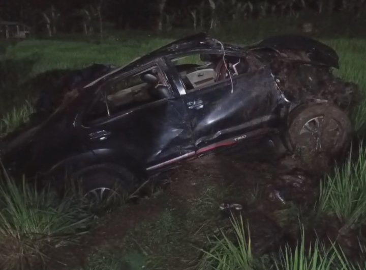 Sebuah minibus yang ditumpangi empat orang terjun ke sawah di Jalan Raya Lingkar Timur, Kabupaten Kuningan (Foto: Darfan)