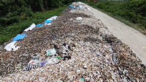 Tumpukan limbah kerang hijau menggunung di tanggul sungai (Foto : Darfan)