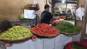 Pasokan cabai sulit, harga cabai kembali meroket (Foto : Darfan)