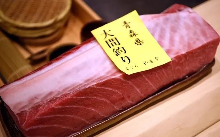 Keren! Restoran di Tokyo Ini Beli Ikan Tuna Rp 12,2 Miliar Sajian Spesial Foto: Site News
