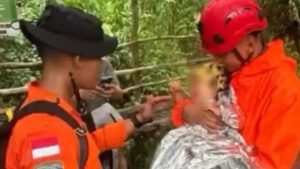 Viral! Bayi 1,3 Tahun Nyaris Kehilangan Nyawa karena Hipotermia di Jalur Pendakian Gunung Ungaran, Orang Tua Panik (Instagram/pendaki_gunung)