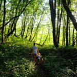 Ilustrasi forest bathing. (Unsplash)