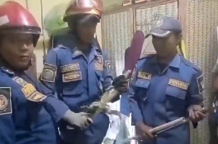 Damkar Kota Cirebon mengevakuasi biawak yang masuk ke rumah (Foto : Darfan)