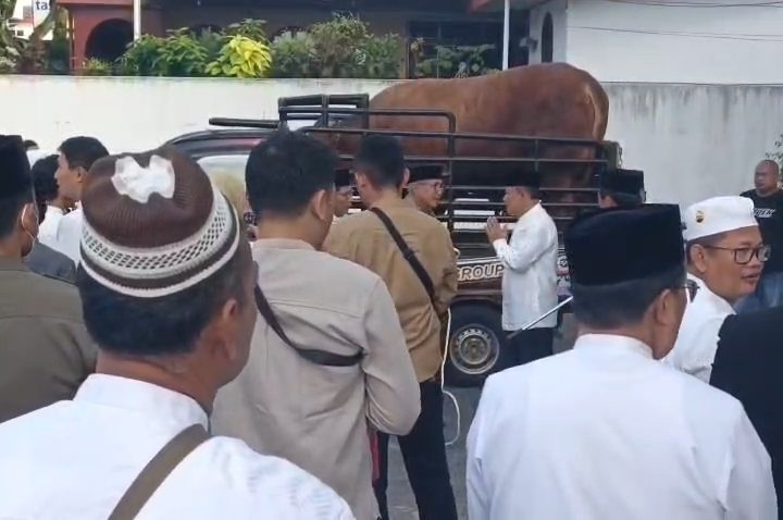 Si Diego, sapi kurban Presiden jenis limosin berbobot lebih dari satu ton, menjadi tontonan warga saat ditampilkan di halaman Masjid Agung Kuningan (Foto : Darfan)