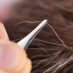 Mitos atau fakta mencabut uban akan membuat pertumbuhan uban semakin banyak. (Foto: Shutterstock/Andrey_Popov)