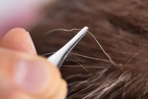 Mitos atau fakta mencabut uban akan membuat pertumbuhan uban semakin banyak. (Foto: Shutterstock/Andrey_Popov)