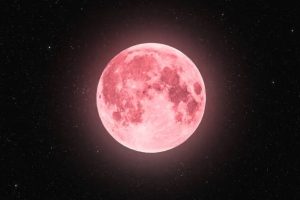 Strawberry Moon. (Sumber Foto: iStock/dzika_mrowka)