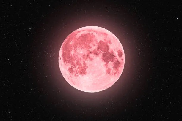 Strawberry Moon. (Sumber Foto: iStock/dzika_mrowka)