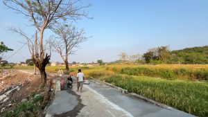 Seorang warga Desa Sampiran, Kecamatan Talun, Kabupaten Cirebon, membangun jalan desa sepanjang satu kilometer di Dusun Kaligandu menggunakan dana pribadi (Foto : Darfan)