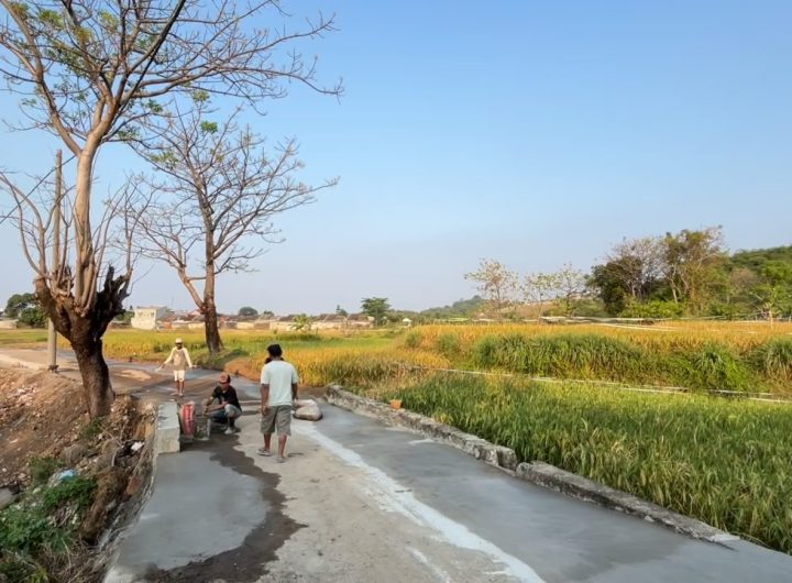 Seorang warga Desa Sampiran, Kecamatan Talun, Kabupaten Cirebon, membangun jalan desa sepanjang satu kilometer di Dusun Kaligandu menggunakan dana pribadi (Foto : Darfan)