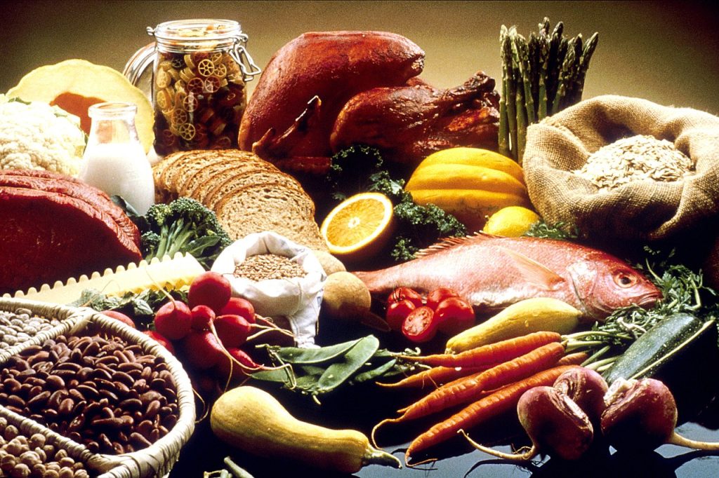 Ilustrasi Human Food (Sumber Foto : Wikipedia)