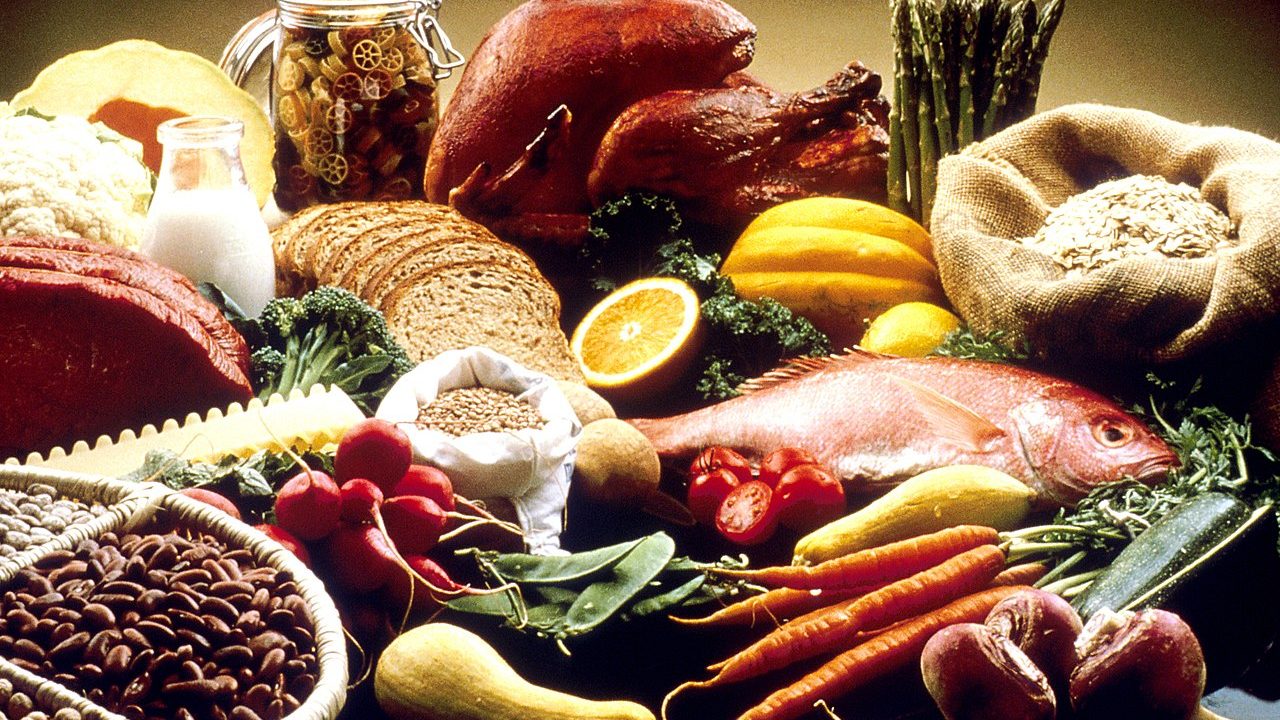 Ilustrasi Human Food (Sumber Foto : Wikipedia)