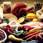 Ilustrasi Human Food (Sumber Foto : Wikipedia)