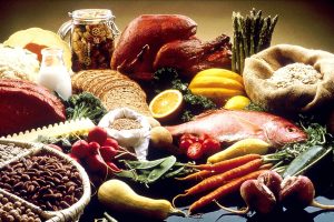 Ilustrasi Human Food (Sumber Foto : Wikipedia)