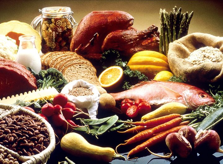 Ilustrasi Human Food (Sumber Foto : Wikipedia)