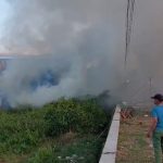 Kebakaran lahan terjadi di Kabupaten Cirebon (Foto : Darfan)