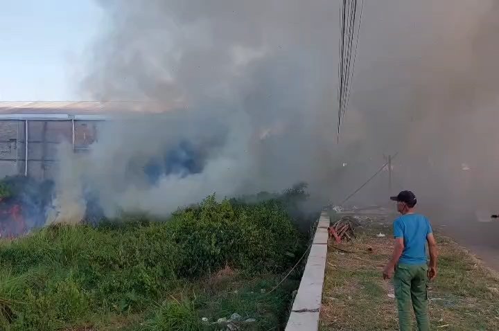 Kebakaran lahan terjadi di Kabupaten Cirebon (Foto : Darfan)