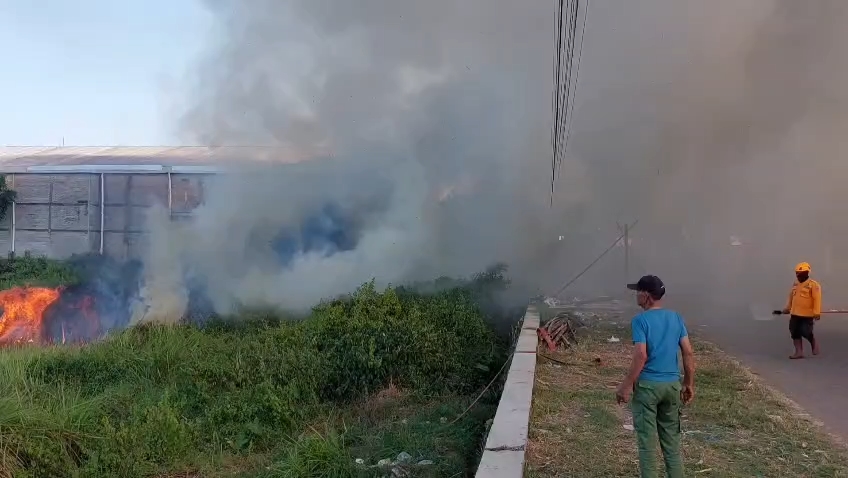 Kebakaran lahan terjadi di Kabupaten Cirebon (Foto : Darfan)