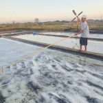Petani Garam Cirebon Keluhkan Sepinya Pembeli saat Panen, Harga Garam Turun (Foto : Darfan)