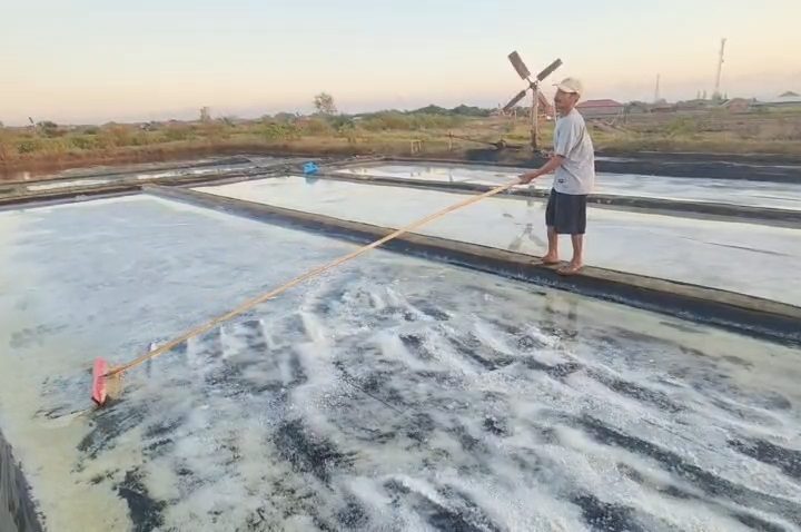 Petani Garam Cirebon Keluhkan Sepinya Pembeli saat Panen, Harga Garam Turun (Foto : Darfan)