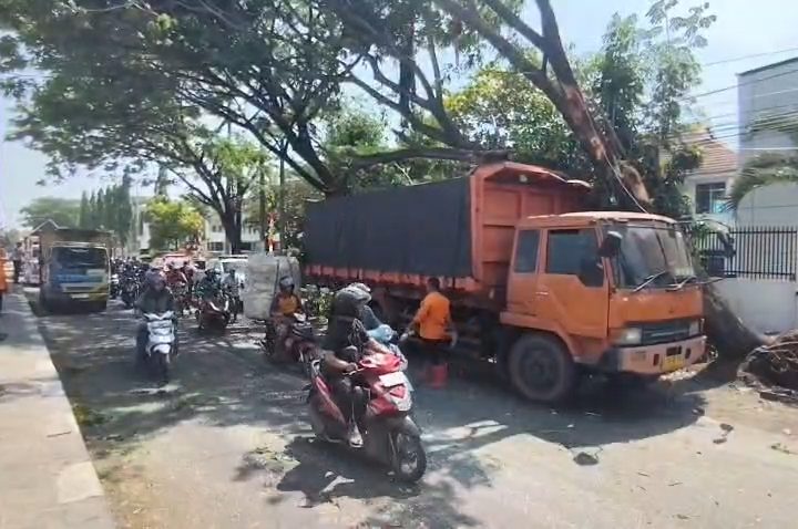 Kecelakaan tunggal terjadi di Jalur Pantura Mundu, Kabupaten Cirebon. Sebuah truk pengangkut batubara yang melaju dari Cirebon menuju arah Jawa menabrak ranting pohon (Foto : Darfan)