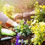 Ilustrasi berkebun. (Sumber Foto: Istock)
