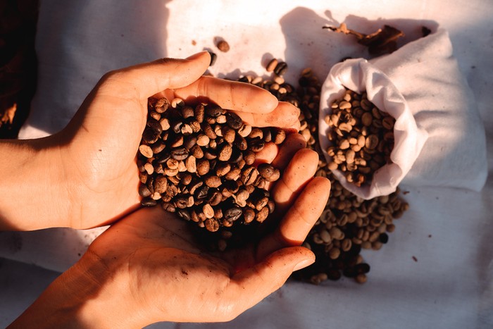 Ilustrasi Kopi Jawa (Sumber Foto: Getty Images/iStockphoto/Maria_Castellanos)