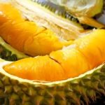 ilustrasi durian (citraindonesia.com)