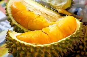 ilustrasi durian (citraindonesia.com)
