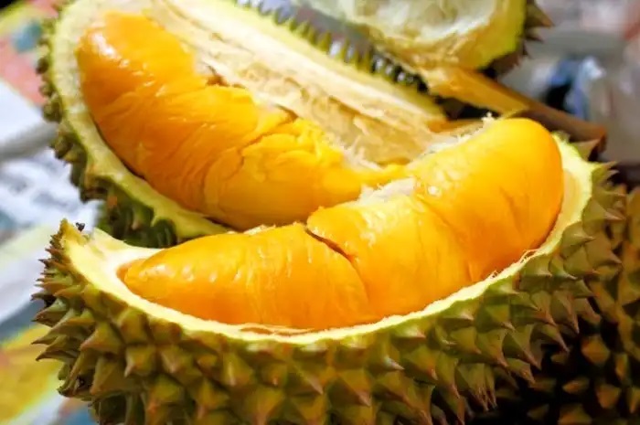 ilustrasi durian (citraindonesia.com)