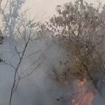 Kebakaran Hutan Gunung Ciremai Meluas, Petugas Kesulitan Padamkan Api (Foto : Darfan)