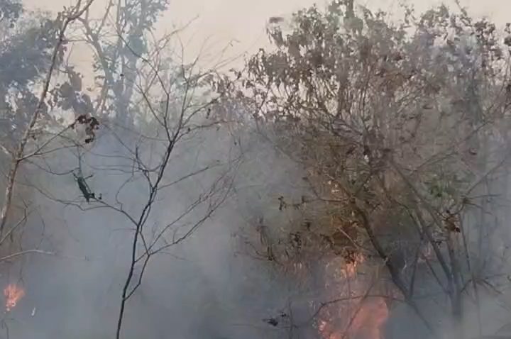Kebakaran Hutan Gunung Ciremai Meluas, Petugas Kesulitan Padamkan Api (Foto : Darfan)